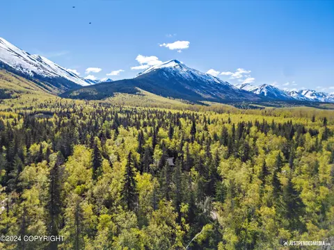 25289 Mathison Rd, Hope, AK 99605 photo 27