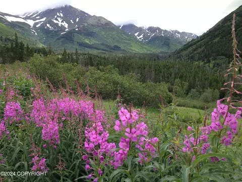 25289 Mathison Rd, Hope, AK 99605 photo 36