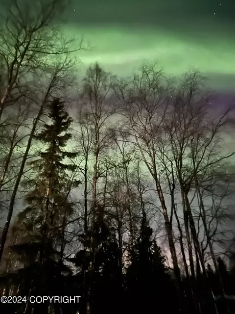 Other - 21707 Oberg Rd, Chugiak, AK 99567 photo 27 of 29