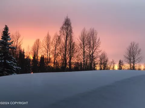Other - 21707 Oberg Rd, Chugiak, AK 99567 photo 29 of 29