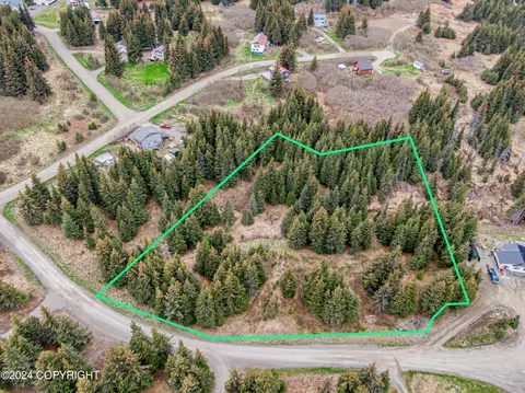 5665 Felix Cir, Homer, AK 99603