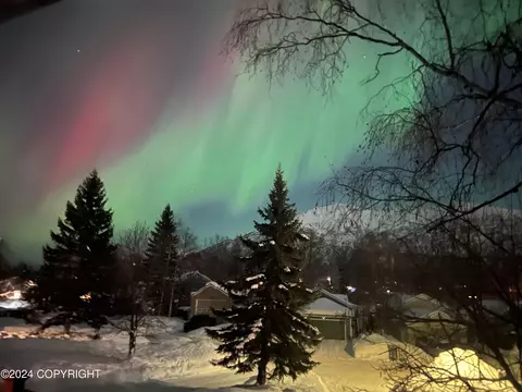 Other - 18825 Sarichef Loop, Eagle River, AK 99577 photo 7 of 7