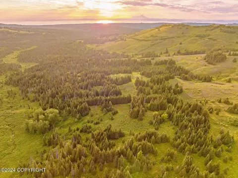 000 Fletcher Rd, Homer, AK 99603