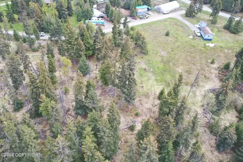 73640 Twin Peaks Loop, Anchor Point, AK 99556