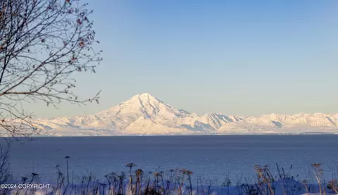 11179 Crestline Ln, Clam Gulch, AK 99568