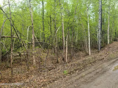 19154 E Bigone Ave, Willow, AK 99688 photo 9