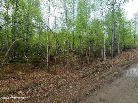 19154 E Bigone Ave, Willow, AK 99688 photo 6