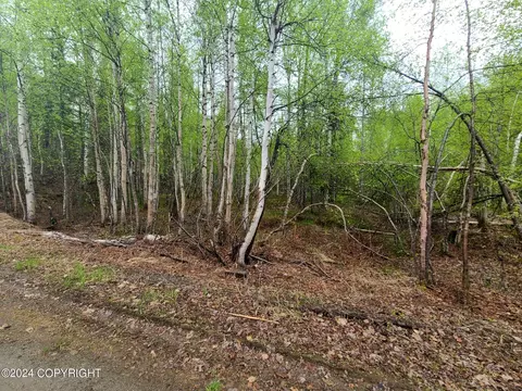 19154 E Bigone Ave, Willow, AK 99688 photo 7