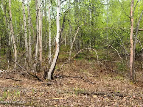 19154 E Bigone Ave, Willow, AK 99688 photo 8