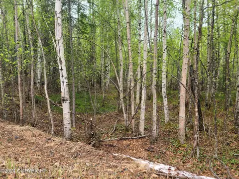 19154 E Bigone Ave, Willow, AK 99688 photo 10