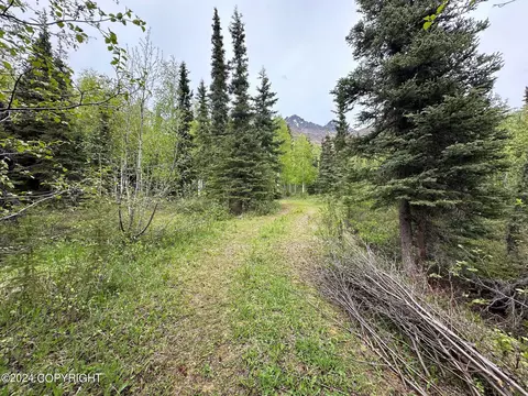 38145 Raymond Ave, Chugiak, AK 99567 photo 4