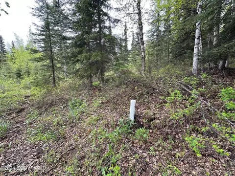 38145 Raymond Ave, Chugiak, AK 99567 photo 11