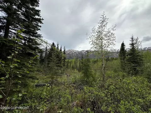 38145 Raymond Ave, Chugiak, AK 99567 photo 7