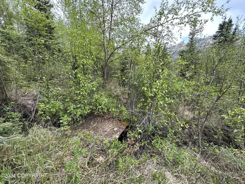 38145 Raymond Ave, Chugiak, AK 99567 photo 10