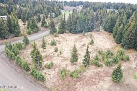 5875 Clearwater Dr, Homer, AK 99603