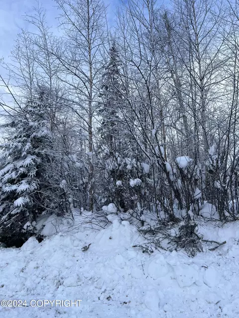 5522 S Kenaka Bena Loop, Big Lake, AK 99654