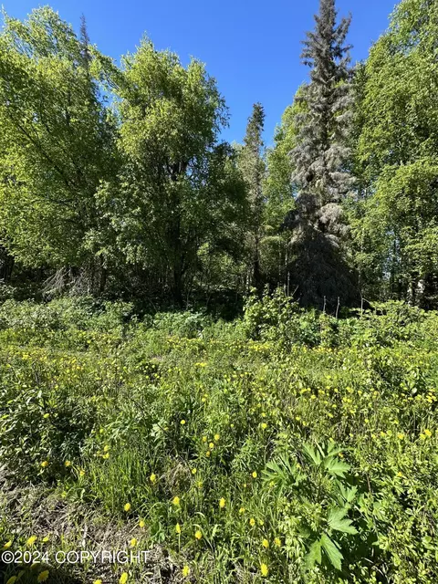 lot4 Lake Village Sub, Nikiskinorth Kenai, AK 99611