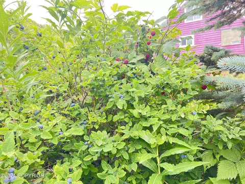 240 Eagle Dr, Unalaska, AK 99685 photo 35