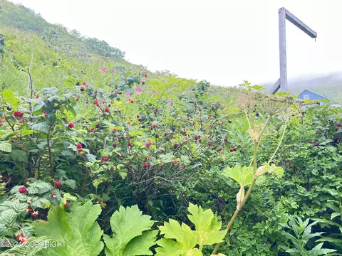 240 Eagle Dr, Unalaska, AK 99685 photo 34