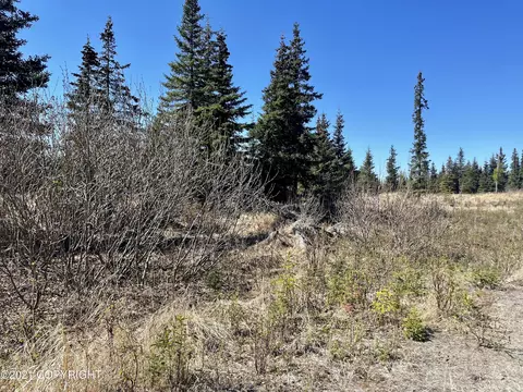 L55 Lowell Street, Ninilchik, AK 99639