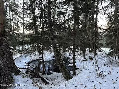 L26 B11 Lund Road, Seldovia, AK 99663