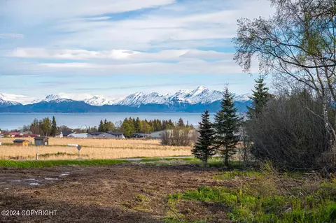 Kna Crested Crane Street, Homer, AK 99603