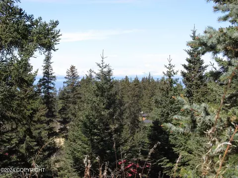 35575 Westwood Dr, Anchor Point, AK 99556