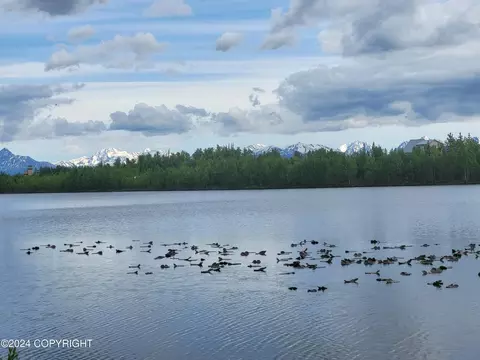 15064 W Alamo Rd, Big Lake, AK 99652