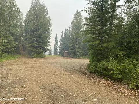 Nhn Glenwood Drive, Delta Junction, AK 99737