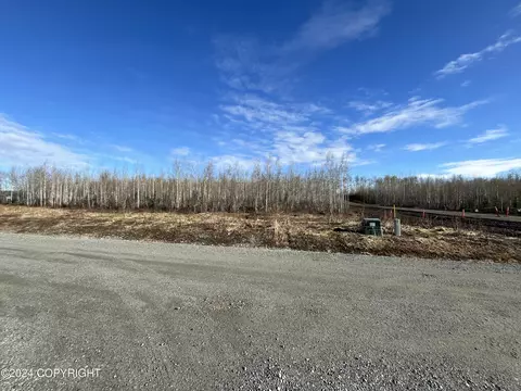 L11b3 S Lions Court, Big Lake, AK 99652
