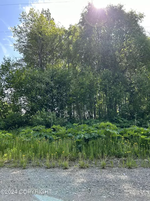 L6 B2 Ylmaki Way, Nikiskinorth Kenai, AK 99611