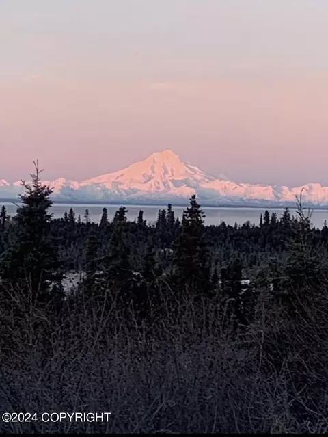 28445 Old Setnetters Dr, Kasilof, AK 99610