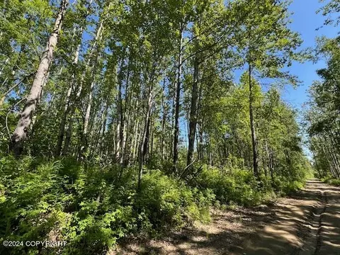 15175 W 4th St, Wasilla, AK 99654