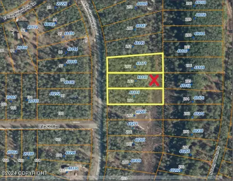 48195 Bendapole Rd, Willow, AK 99688