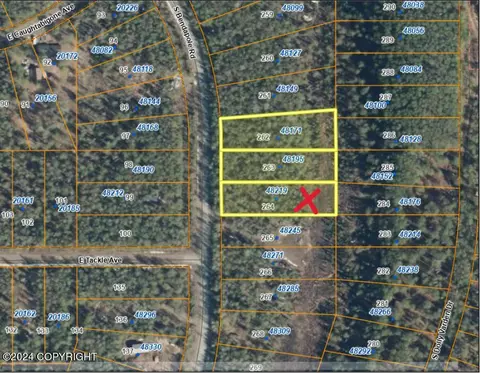 48219 Bendapole Rd, Willow, AK 99688