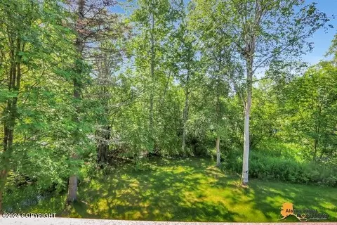 19766 Belduque Ct, Chugiak, AK 99567 photo 6