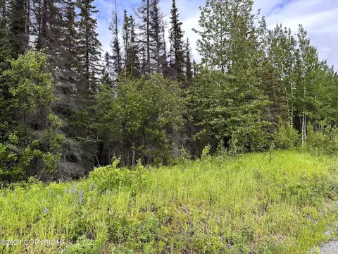 33700 Browns Lake Rd, Soldotna, AK 99669