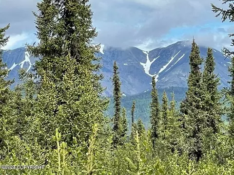 04 Homestead Trl, Slana, AK 99586