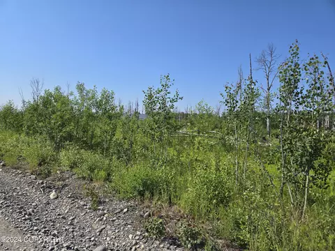 47774 S Yancey Dr, Willow, AK 99688
