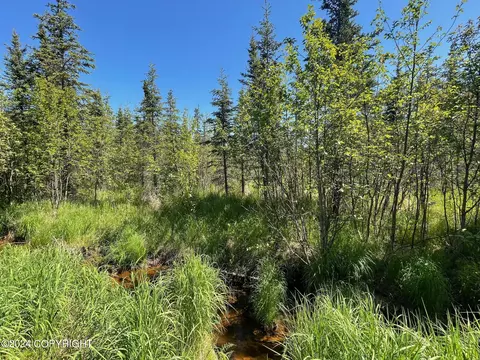 1045 E Roald Ave, Soldotna, AK 99669