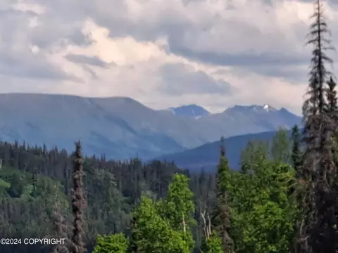 12797 W Snowberry Rd, Willow, AK 99688