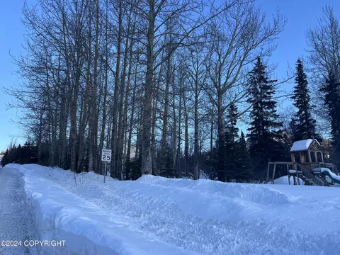 L3 Patrick Road, Anchorage, AK 99516 photo 24