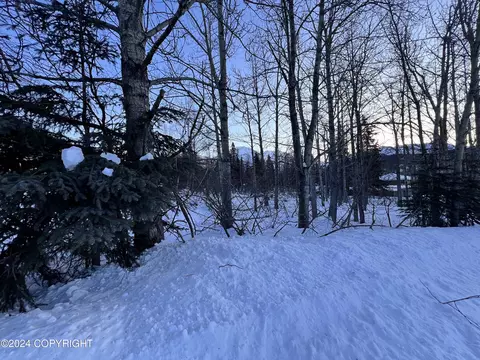L3 Patrick Road, Anchorage, AK 99516 photo 19
