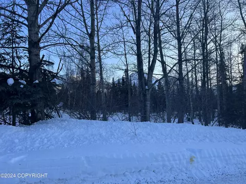 L3 Patrick Road, Anchorage, AK 99516 photo 18