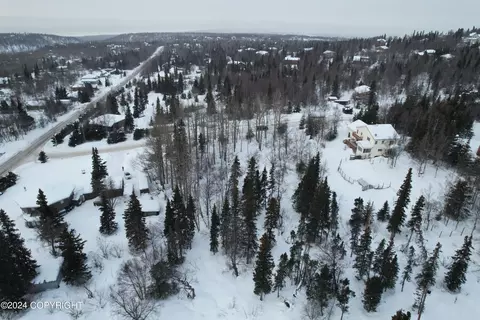 L3 Patrick Road, Anchorage, AK 99516 photo 6