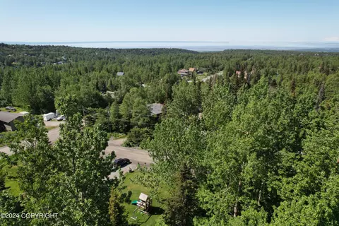 L3 Patrick Road, Anchorage, AK 99516 photo 13