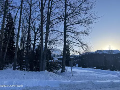 L3 Patrick Road, Anchorage, AK 99516 photo 28