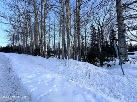 L3 Patrick Road, Anchorage, AK 99516 photo 20
