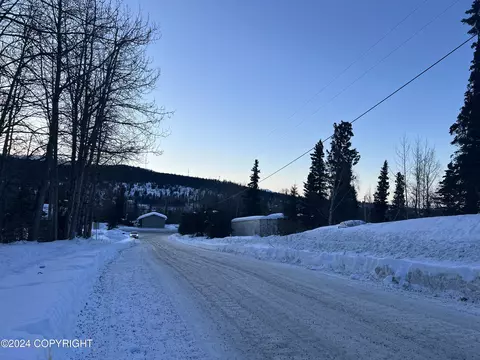 L3 Patrick Road, Anchorage, AK 99516 photo 27
