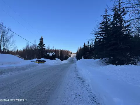 L3 Patrick Road, Anchorage, AK 99516 photo 25